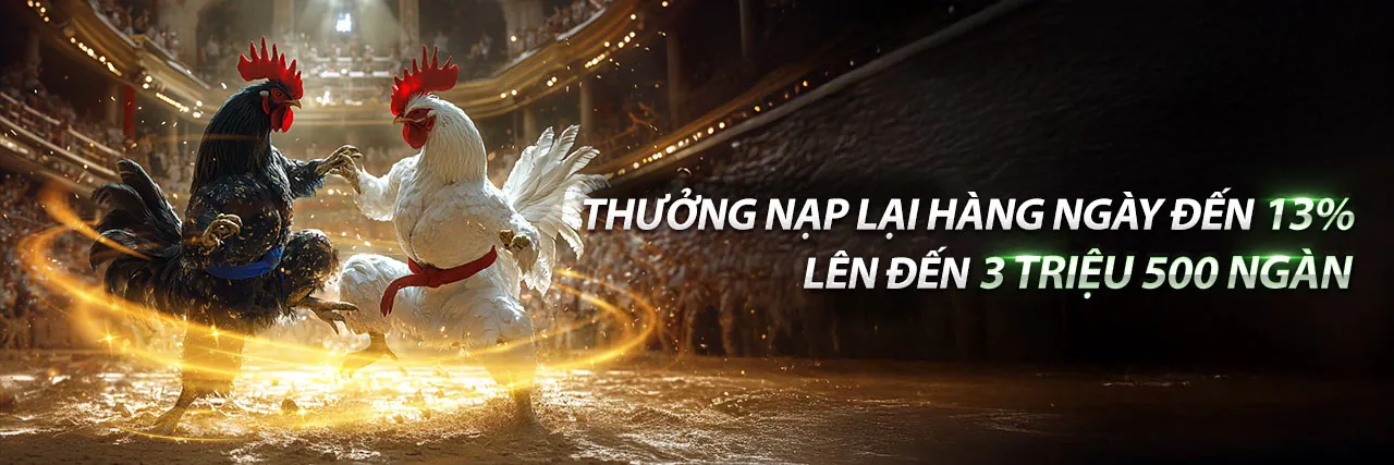 Hình ảnh giới thiệu về bot88